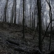 Velnias - List pictures