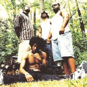 Goodie Mob - List pictures