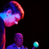 Tortoise - List pictures