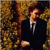 Fyfe Dangerfield - List pictures