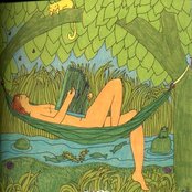 Alicia Bay Laurel - List pictures