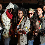 Rootz Underground - List pictures