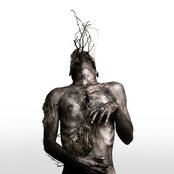 Blut Aus Nord - List pictures