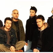 Negramaro - List pictures