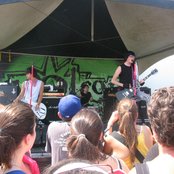 Pink Spiders - List pictures