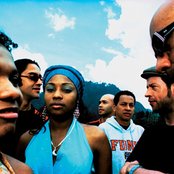 Sidestepper - List pictures