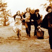 Trees - List pictures