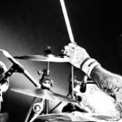 Red Snapper - List pictures