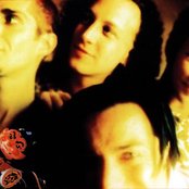 Porno For Pyros - List pictures