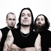 Prong - List pictures