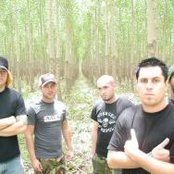 Manntis - List pictures