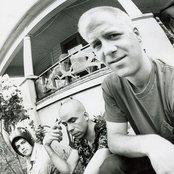 Pond - List pictures