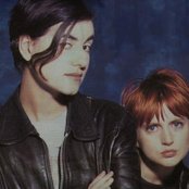 Elastica - List pictures