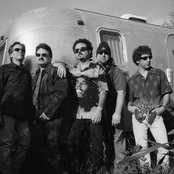 Toto - List pictures