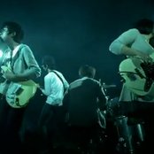 White Ash - List pictures