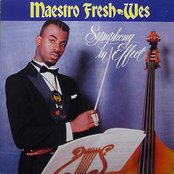 Maestro Fresh Wes - List pictures