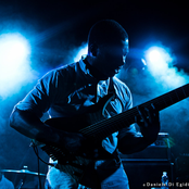 Animals As Leaders - List pictures