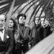 Xmal Deutschland - List pictures