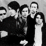 The London Suede - List pictures