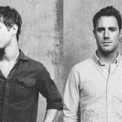 Wild Cub - List pictures