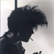 Foetus - List pictures