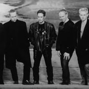 Silentium - List pictures