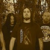 Disgorge - List pictures