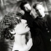Cocteau Twins - List pictures