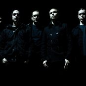 Fallujah - List pictures