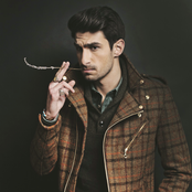 D-why - List pictures