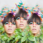 Bomba Estéreo - List pictures