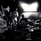 Timber Timbre - List pictures