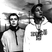 Eins Zwo - List pictures