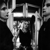 Artrosis - List pictures