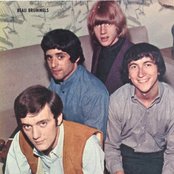 Beau Brummels - List pictures