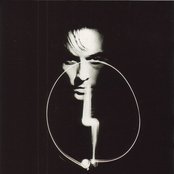 Peter Murphy - List pictures