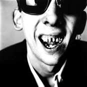 Shane Mcgowan - List pictures