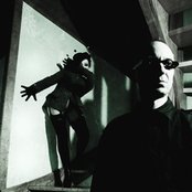 Die Form - List pictures