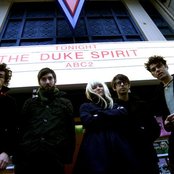 The Duke Spirit - List pictures