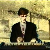 P. Lion - List pictures