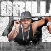 Gorilla Zoe - List pictures