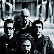 Sub-urban Tribe - List pictures