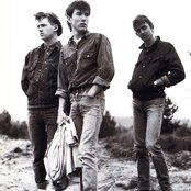 Talk Talk - List pictures