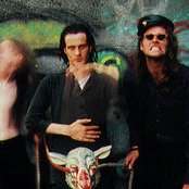 Skinny Puppy - List pictures
