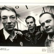 Blumfeld - List pictures