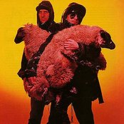 Klf - List pictures