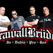 Krawallbrüder - List pictures