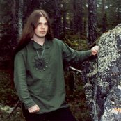 Vintersorg - List pictures