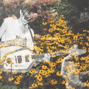 Deerhunter - List pictures