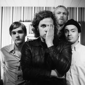 The Amazing - List pictures